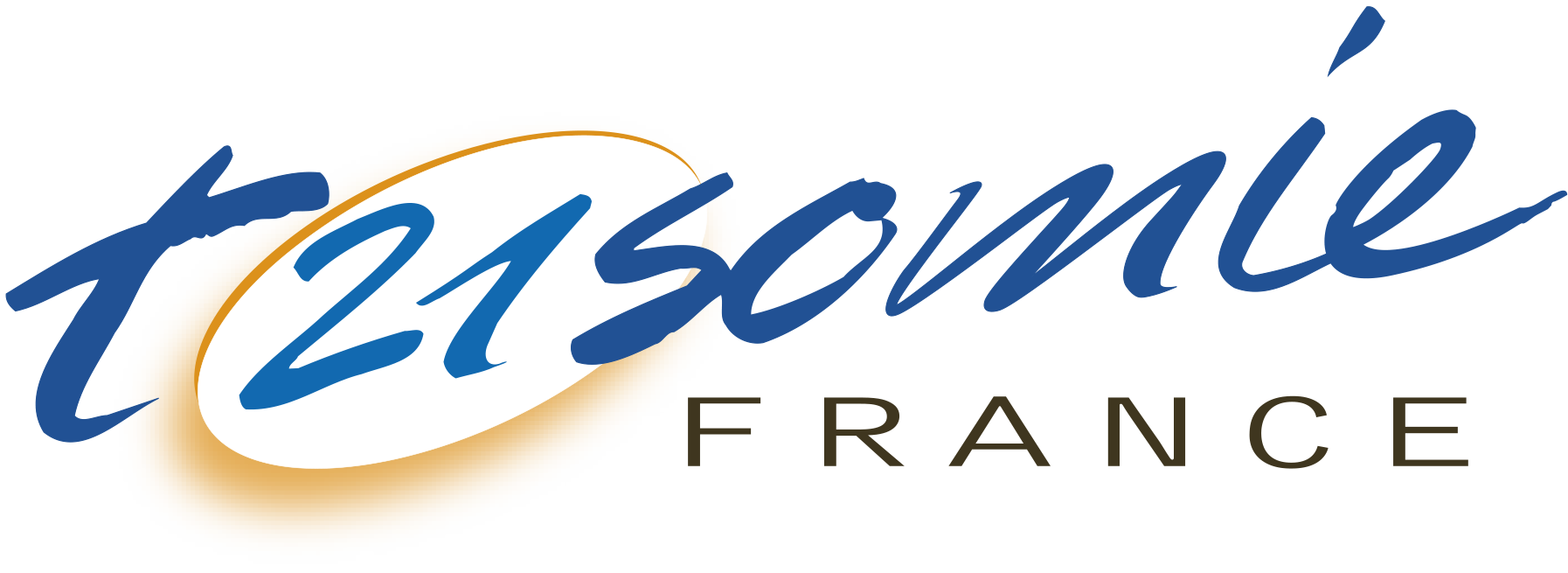 Logo Trisomie 21 Sarthe